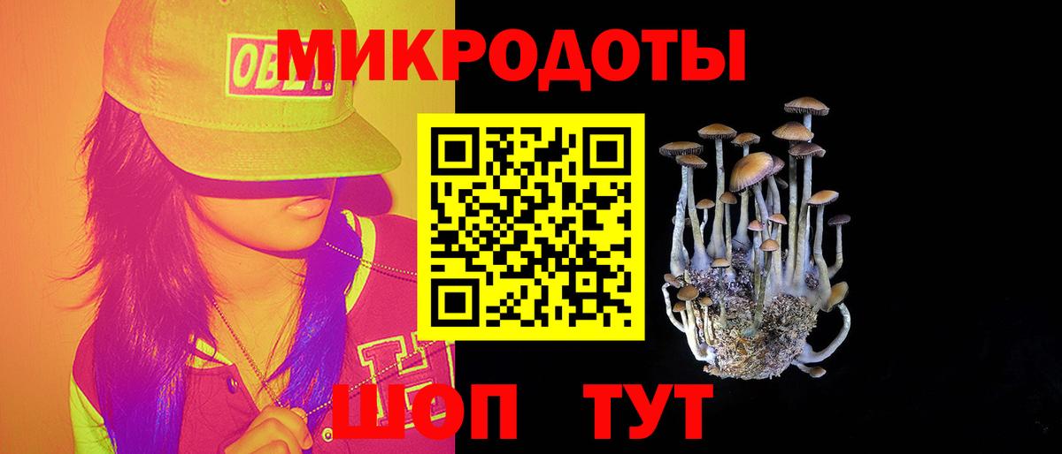 Галлюциногенные грибы Psilocybe  цена   Вход с VPN  Лобня  Псилоцибиновые грибы прущие грибы 